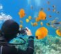 Red Sea Diving Trip in Hurghada